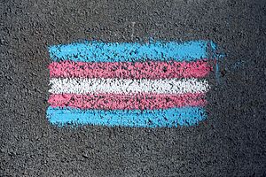Vortrag Transgender Transgender-Flagge mit Kreide auf Straße
